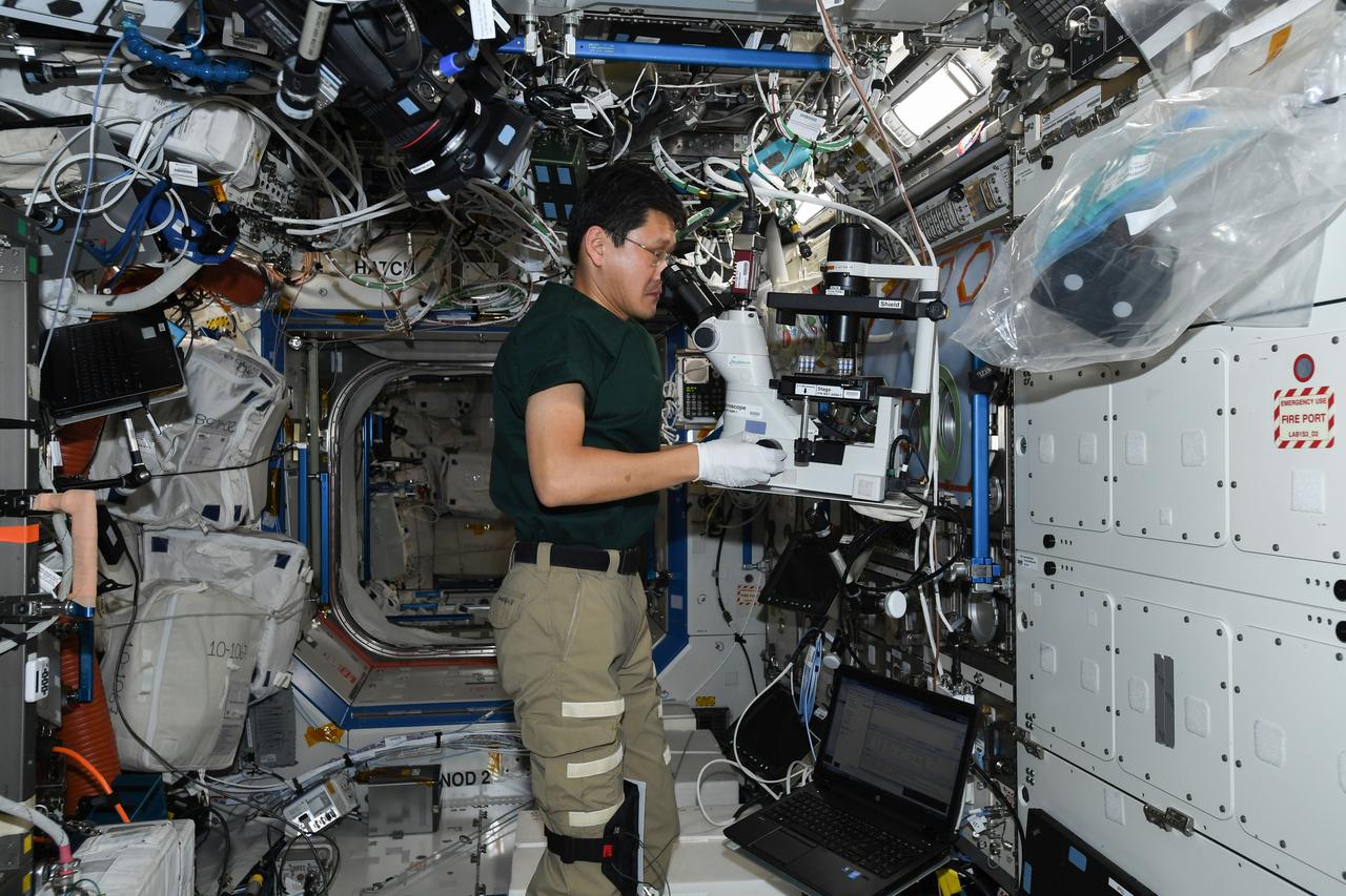 iss054e067484 (12/21/2017) --- Japan Aerospace Exploration Agency (JAXA) astronaut Norishige Kanai is photographed in the U.S. Lab performing Microscope operations for Synthetic Bone experiment. Synthetic Bone tests the functionality and effectiveness of a new material that can assist in recovery from bone injuries or dental work during long-term space travel.