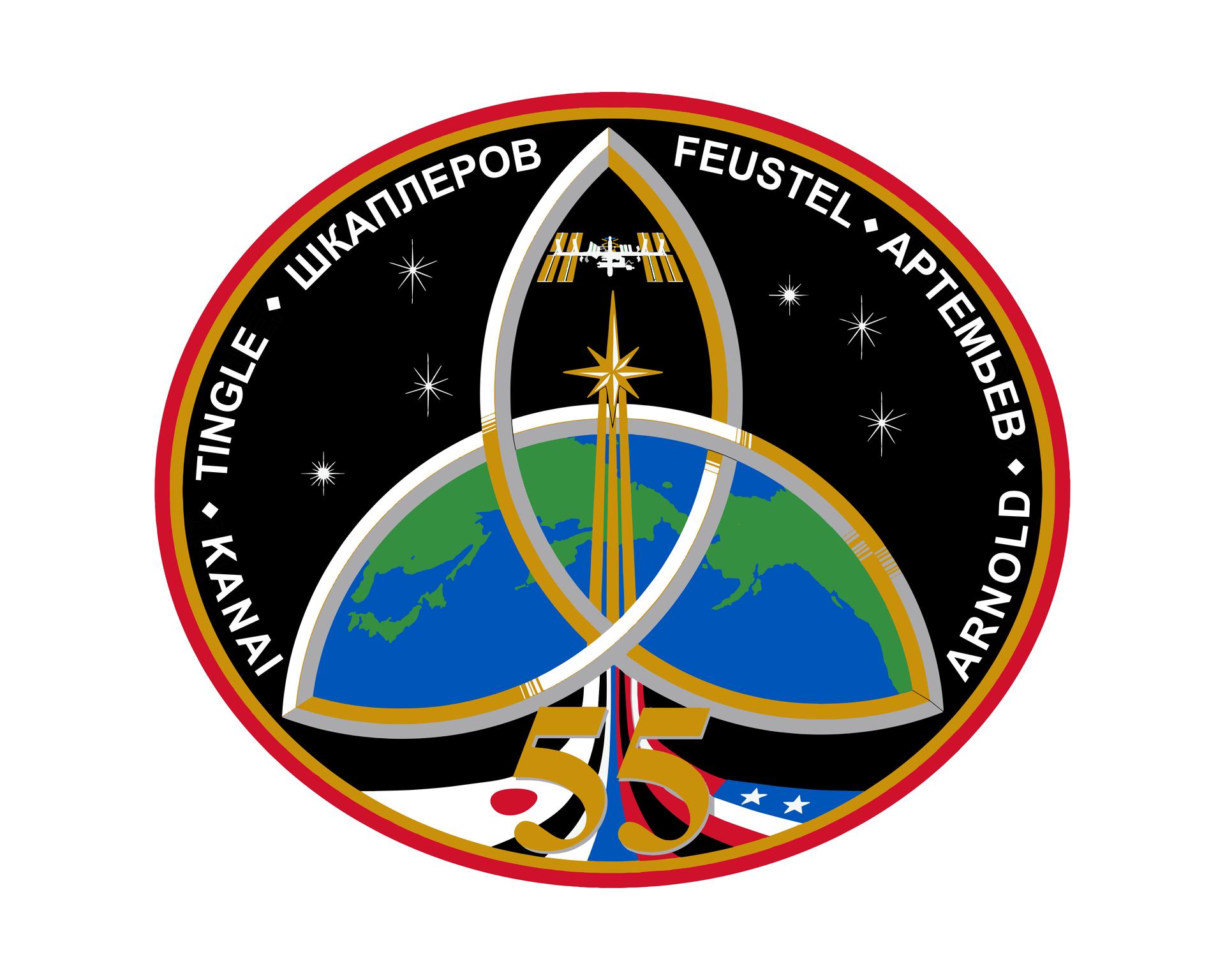 Expedition 55 Crew Insignia