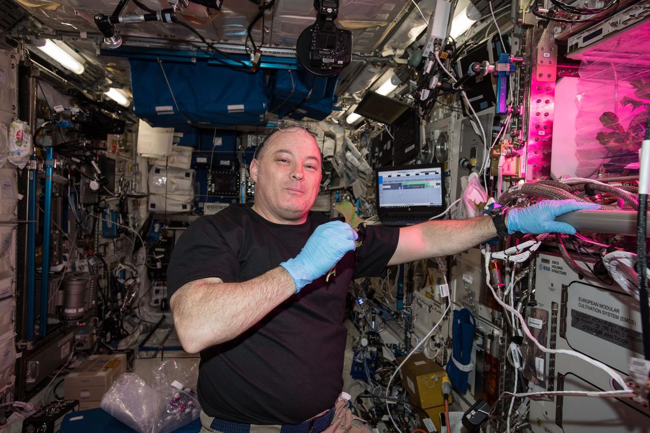 iss055e001193 (March 8, 2018) --- NASA astronaut Scott Tingle eats a piece of lettuce harvested as part of the ongoing space crop study VEG-03. The botany experiment uses the Veggie plant growth facility to cultivate a type of cabbage, lettuce and mizuna which are harvested on-orbit with some samples consumed by astronauts and others returned to Earth for testing.