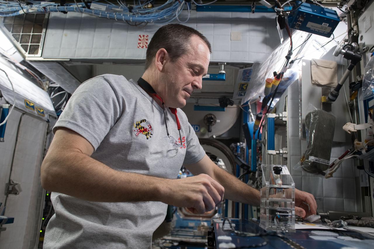 iss055e016052 (4/11/2018) --- NASA astronaut Ricky Arnold works with the student-designed Genes in Space-5 experiment inside the Harmony module. The genetic research is helping scientists understand the relationship between DNA alterations and weakened immune systems possibly caused by living in space. Genes in Space is an innovation challenge including students and teachers across the United States from grades 7 through 12. Students design a pioneering DNA-related experiment to fly on the ISS, providing real-world training in science, technology, engineering and math (STEM) fields and connecting students to the space program.