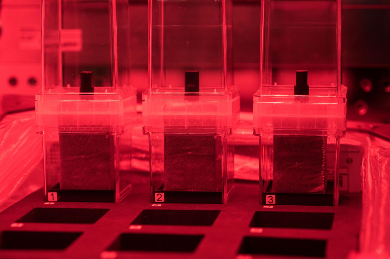 iss055e019872 (4/12/2018) --- Photographic documentation taken aboard the International Space Station (ISS) during the configuration of the Veggie facility and the installation of twenty APEX-06 petri plates to begin the growth process of the plants. APEX-06 expands the understanding of plant growth in space. Detailed understanding of how different plants grow in space can provide for better life support system design and resource planning for long term space missions.