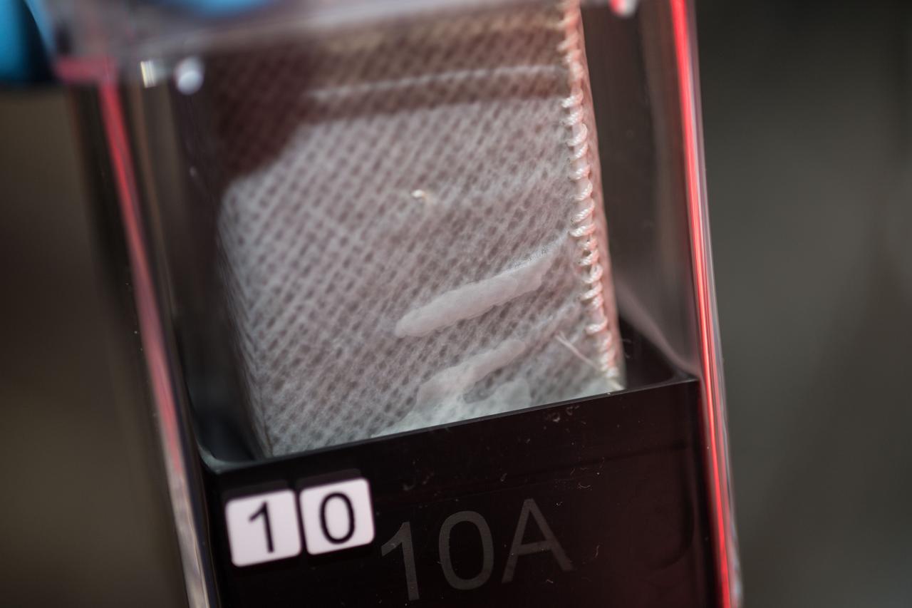 iss055e019898 (4/12/2018) --- Photographic documentation taken aboard the International Space Station (ISS) during the configuration of the Veggie facility and the installation of twenty APEX-06 petri plates to begin the growth process of the plants. APEX-06 expands the understanding of plant growth in space. Detailed understanding of how different plants grow in space can provide for better life support system design and resource planning for long term space missions.