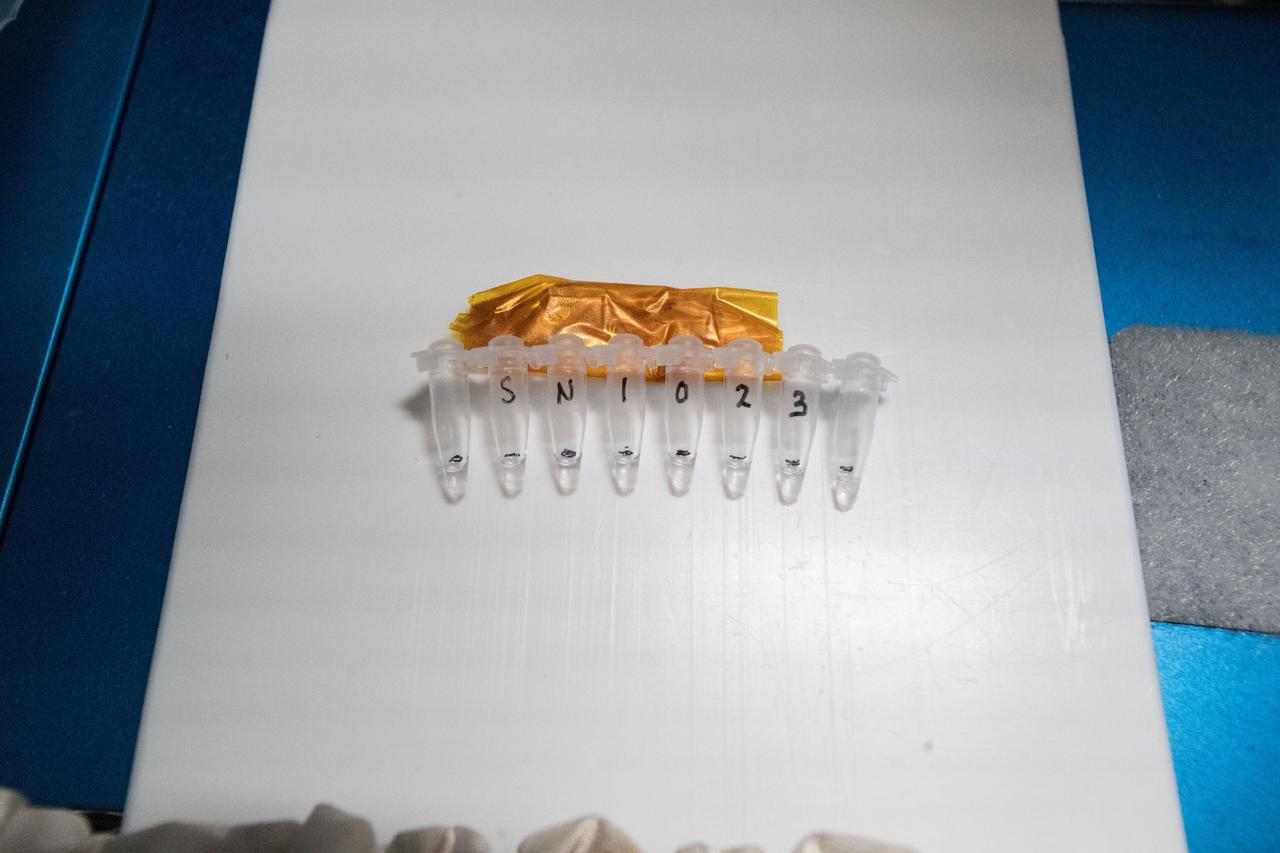 iss055e020316 (4/13/2018) --- Photographic documentation taken during processing of samples in the Miniature Polymerase Chain Reaction (miniPCR) for the Genes In Space-5 experiment onboard the International Space Station (ISS). The genetic research is helping scientists understand the relationship between DNA alterations and weakened immune systems possibly caused by living in space. Genes in Space is an innovation challenge including students and teachers across the United States from grades 7 through 12. Students design a pioneering DNA-related experiment to fly on the ISS, providing real-world training in science, technology, engineering and math (STEM) fields and connecting students to the space program.