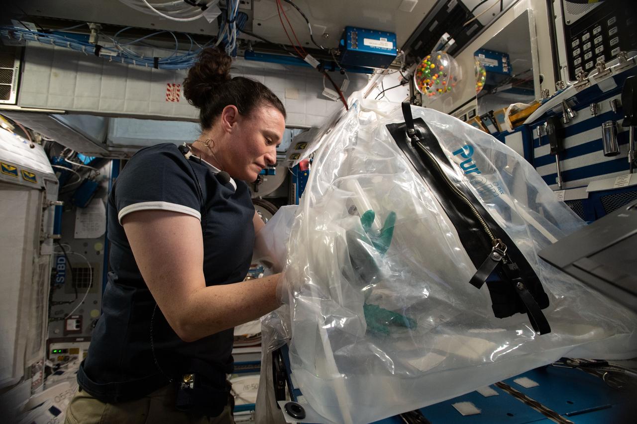 iss056e037491 (June 26, 2018) --- Astronaut Serena Auñón-Chancellor from NASA works on the Microgravity Investigation of Cement Solidification (MICS) 2 experiment aboard the International Space Station. MICS 2 is researching how cement reacts in space during the hardening process and may help engineers better understand its microstructure and material properties. Observations could improve cement processing techniques on Earth and lead to the design of safer, lightweight space habitats.