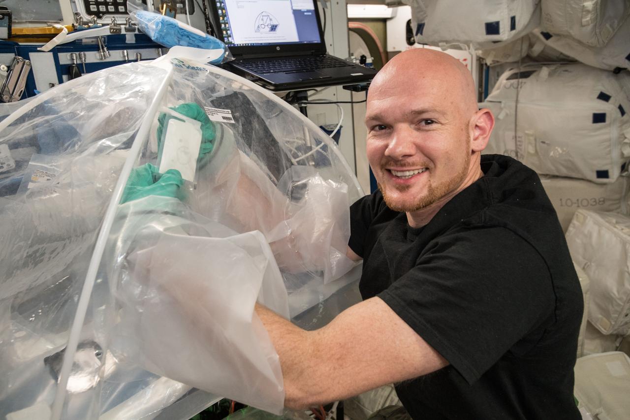 iss056e073247 (July 2, 2018) --- Astronaut Alexander Gerst of ESA (European Space Agency) works on the Microgravity Investigation of Cement Solidification (MICS) 2 experiment aboard the International Space Station. MICS 2 is researching how cement reacts in space during the hardening process and may help engineers better understand its microstructure and material properties. Observations could improve cement processing techniques on Earth and lead to the design of safer, lightweight space habitats.