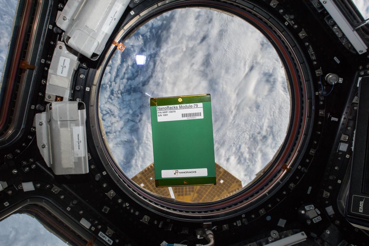 iss056e078370 (6/7/2018) --- Photo of the QUANTUM experiment floating in front of Window 7 in the Cupola module. Earth is in the background. QUANTUM observes the effects of entropy outside of the Earth’s atmosphere. Materials with tight, intense crystalline structures are exposed to a space environment to observe even small changes and differences between materials aboard the International Space Station (ISS) and those on Earth.
