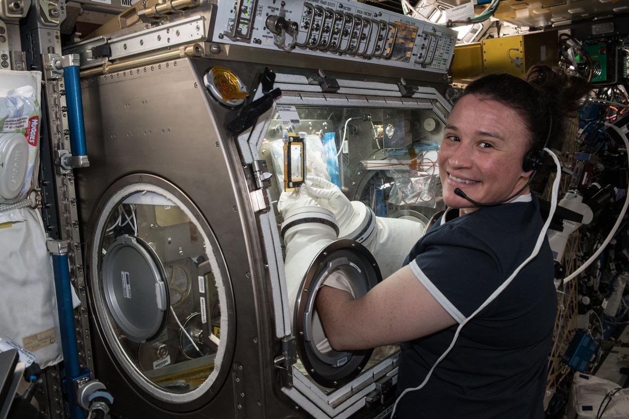 iss056e078401 (July 3, 2018) --- NASA astronaut Serena Auñón-Chancellor conducts research operations for the AngieX Cancer Therapy study inside the Microgravity Science Glovebox. The new cancer research seeks to test a safer, more effective treatment that targets tumor cells and blood vessels.