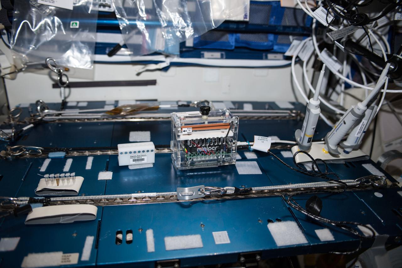 iss056e097438 (July 19, 2018) --- NASA astronaut Ricky Arnold swabbed surfaces in the International Space Station to collect microbe samples. He then processed the microbial DNA using the Biomolecule Sequencer, a device that enables DNA sequencing in microgravity, to identify microbes able to survive in microgravity.