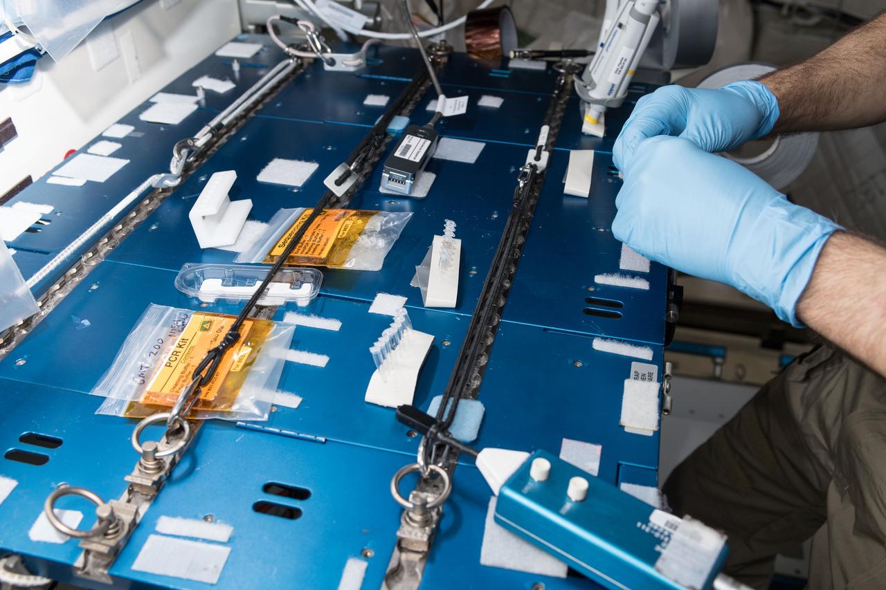 iss056e097517 (July 20, 2018) --- NASA astronaut Ricky Arnold swabbed surfaces in the International Space Station to collect microbe samples. He then processed the microbial DNA using the Biomolecule Sequencer, a device that enables DNA sequencing in microgravity, to identify microbes able to survive in microgravity.