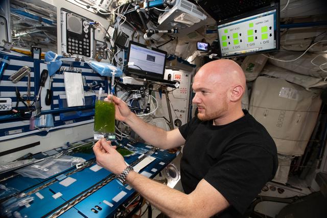 NASA image: Space Algae Experiment Install