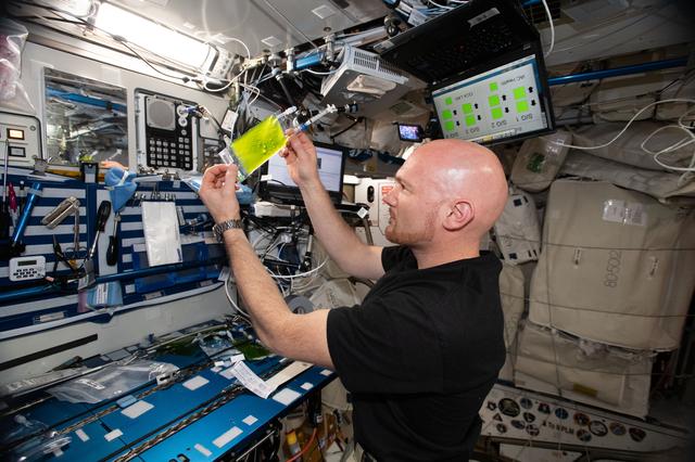 NASA image: Space Algae Experiment Install