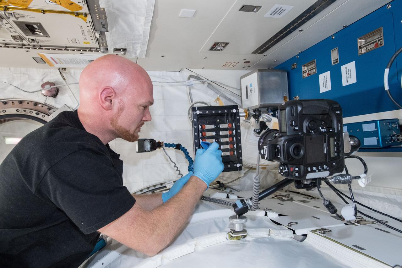 iss056e098995 (July 26, 2018) --- Astronaut Alexander Gerst of ESA (European Space Agency) works inside the Japanese Kibo laboratory module taking pictures of samples for the Binary Colloidal Alloy Test-Cohesive Sedimentation investigation (BCAT-CS). The fluid physics research explores the sedimentary properties of quartz and clay particles. Mixed quartz and clay samples are suspended in a liquid for photographic and video downlink to scientists on Earth helping guide future geological studies of unexplored planets and improving petroleum exploration here on Earth.