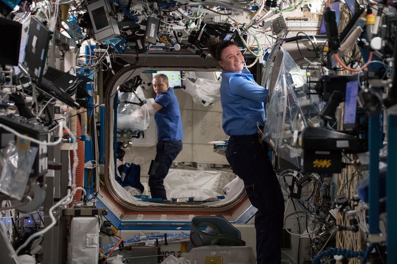 iss056e131400 (7/31/2018) --- NASA astronaut Serena Auñón-Chancellor conducts research operations for the AngieX Cancer Therapy study inside the Microgravity Science Glovebox. The new cancer research seeks to test a safer, more effective treatment that targets tumor cells and blood vessels. In the background, NASA astronaut Drew Feustel can be seen working on the Microgravity Investigation of Cement Solidification (MICS) 2 experiment aboard the International Space Station. MICS 2 is researching how cement reacts in space during the hardening process and may help engineers better understand its microstructure and material properties.