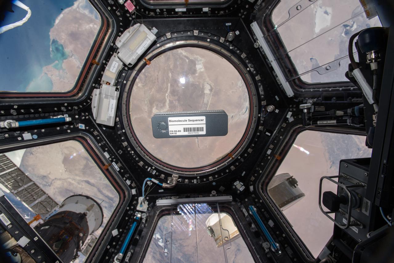 iss057e000185 (10/8/2018) - Biomolecule Sequencer for the BEST experiment floating in front of Window 7 in the Cupola module. Earth is in the background. The Biomolecule Sequencer seeks to demonstrate, for the first time, that DNA sequencing is feasible in an orbiting spacecraft. A space-based DNA sequencer could identify microbes, diagnose diseases and understand crew member health, and potentially help detect DNA-based life elsewhere in the solar system.