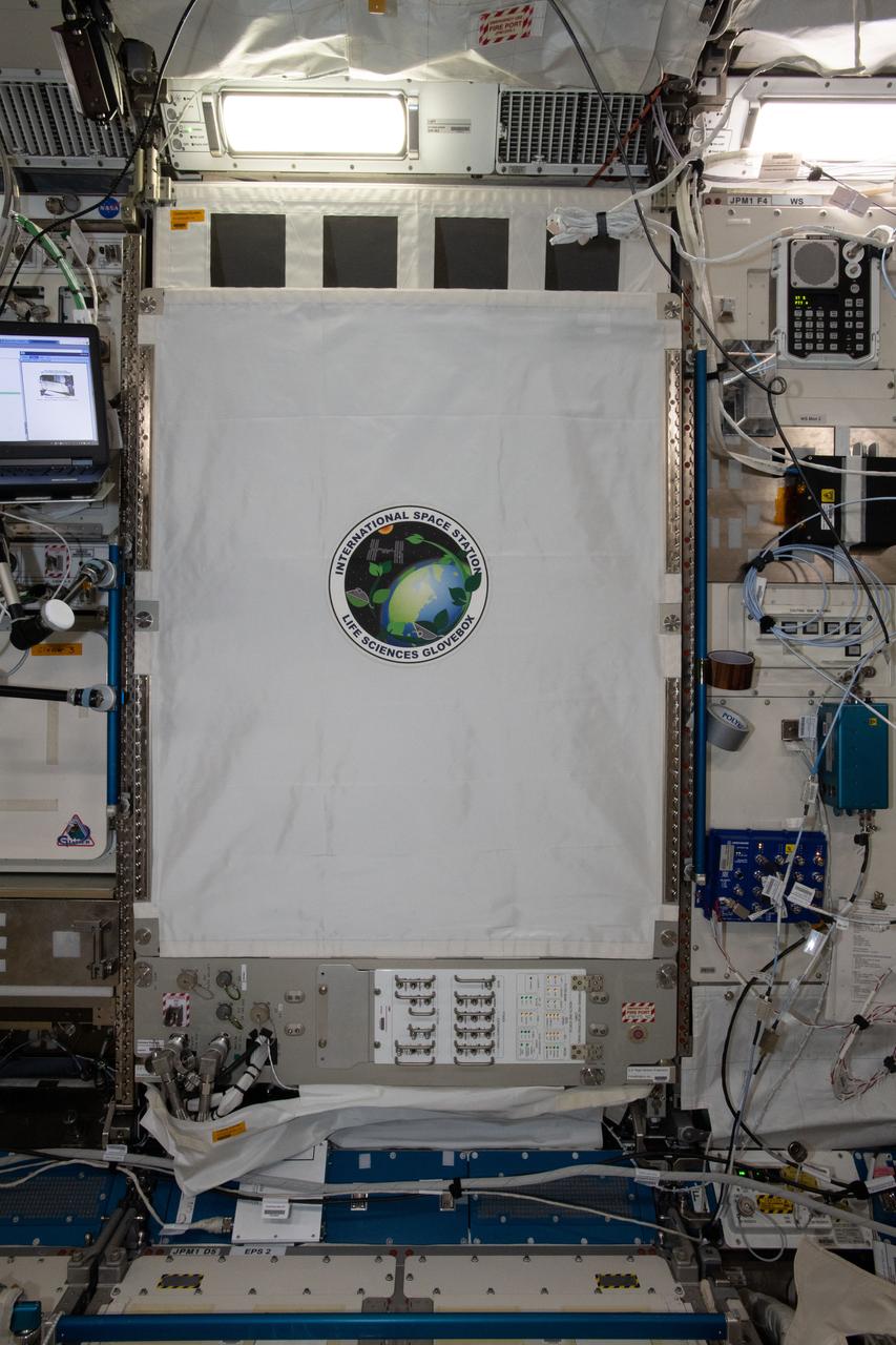 iss057e057787 (10/31/2018) --- A view of the Life Sciences Glovebox (LSG) with Closeout Screen and Front Cover installed during rack configuration operations (OPS) in the Kibo Japanese Experiment Pressurized Module (JPM). The Life Sciences Glovebox (LSG) is a sealed work area that accommodates life science and technology investigations in a “workbench” type environment. Due to its larger size design, two crew members can work in the LSG simultaneously.