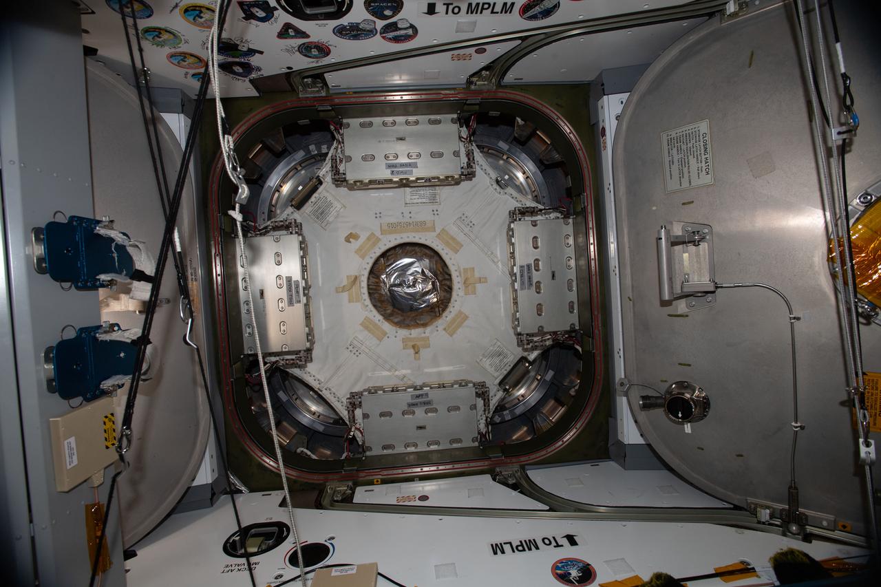 iss057e059085 (11/7/2018) --- Photo documentation of the Common Berthing Mechanism (CBM) Center Disk Cover in the Harmony Node 2 nadir hatch during part 2 of Kounotori H-II Transfer Vehicle 7 (HTV-7) Vestibule configuration for demating. The HTV Small Re-entry Capsule (HSRC) Protective Cover has been removed.