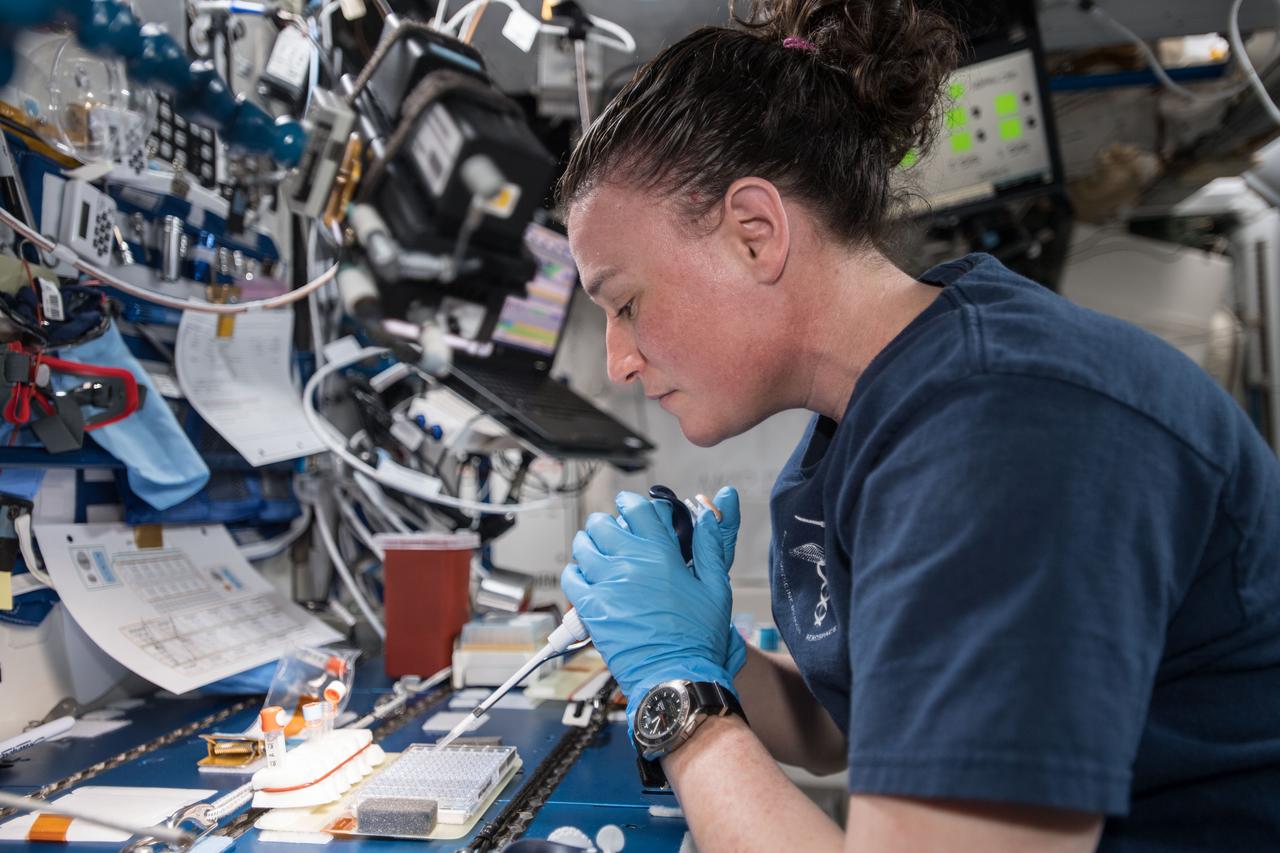iss057e074528 (Nov. 9, 2018) --- NASA astronaut Serena Auñón-Chancellor is pictured in the Japanese Kibo lab module mixing protein crystal samples to help scientists understand how they work.  BioServe Protein Crystalography-1 (BPC-1) seeks to demonstrate the feasibility of conducting protein crystal growth in real time aboard the International Space Station. Crew members add solutions to the hardware, observe the crystals that form and adjust for follow-on experiments.