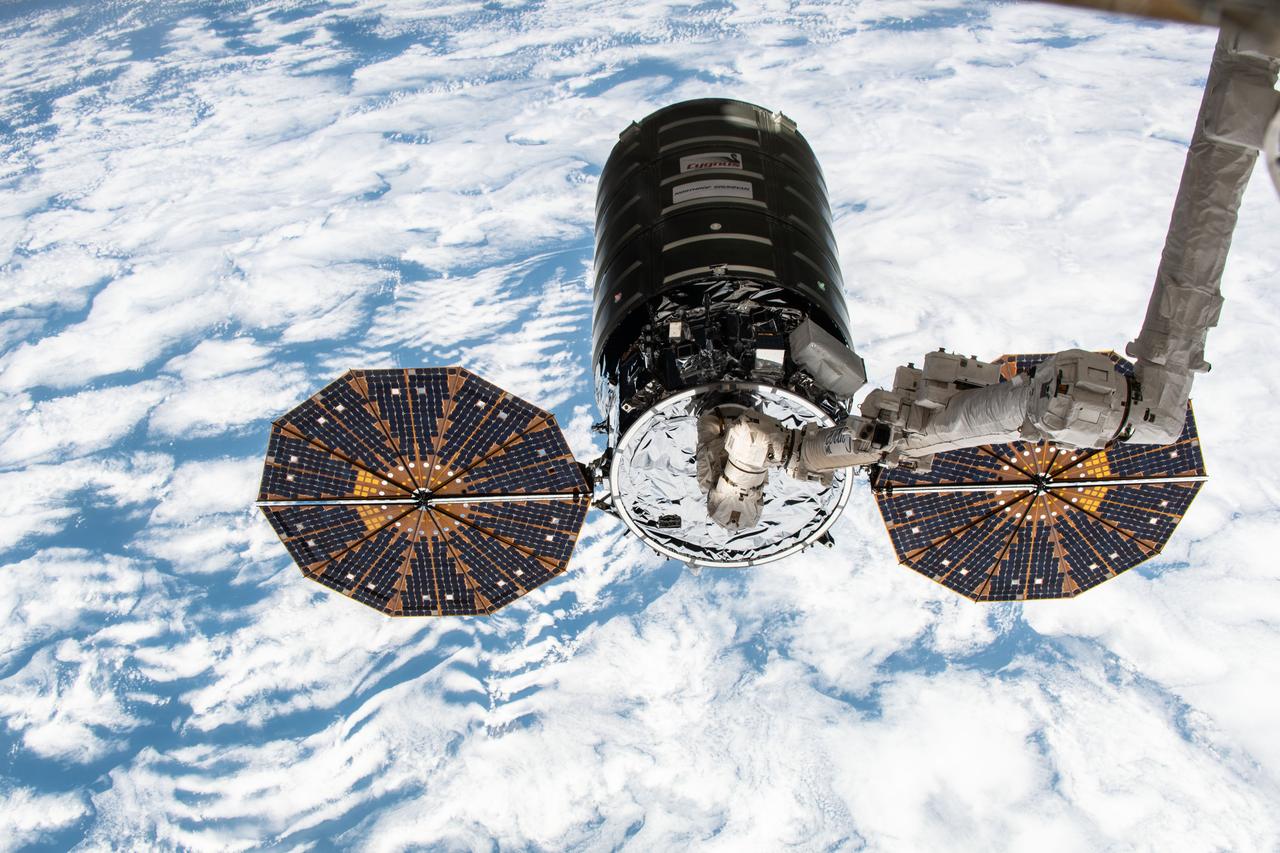 iss057e102396 (Nov. 19, 2018) --- Northrop Grumman's Cygnus space freighter with its prominent cymbal-shaped UltraFlex solar arrays is pictured in the grips of the Canadarm2 robotic arm after it was captured by Expedition 57 Flight Engineer Serena Auñón-Chancellor and ESA (European Space Agency) astronaut Alexander Gerst.