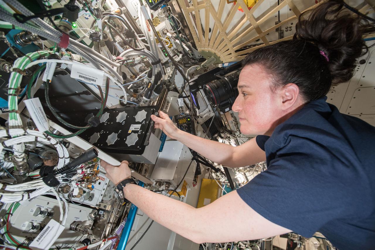 iss057e105719 (11/24/2018) --- A view of NASA astronaut Serena Auñón-Chancellor inserting the Microg-Rx CubeLab into the TangoLab facility. The Culturing of Human Myocytes in Microgravity: An In Vitro Model to Evaluate Therapeutics to Counteract Muscle Wasting (Culturing of Human Myocytes in Microgravity) experiment aims to better understand muscle growth and repair in microgravity. Muscle wasting occurs in people on Earth with cancer, HIV/AIDS, heart failure, rheumatoid arthritis, chronic obstructive pulmonary disease, and sarcopenia (age-related muscle loss). This investigation may support development of countermeasures and treatments for muscle wasting from these conditions.