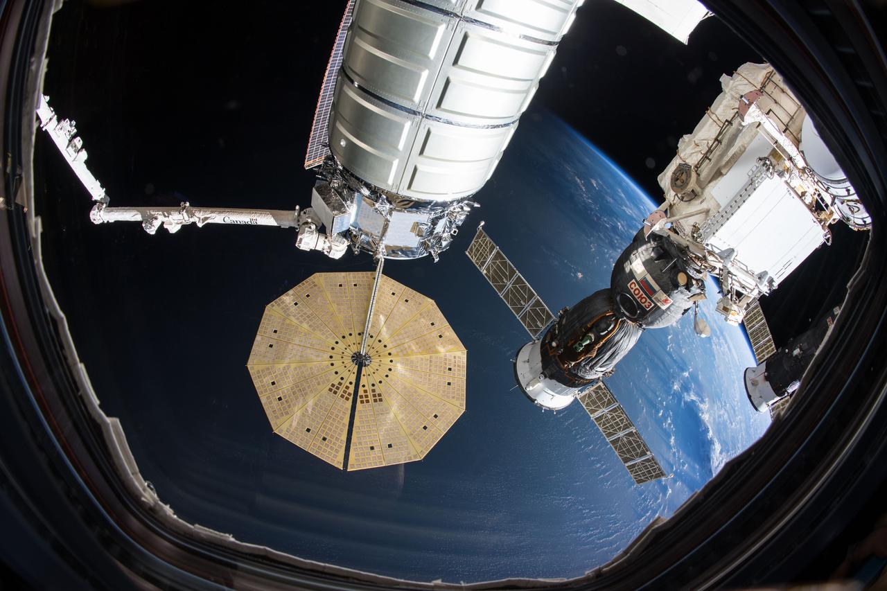 iss057e105773 (Nov. 22, 2018) --- Three spacecraft are pictured attached to the International Space Station as the orbital complex orbited 250 miles above the Bay of Bengal. At center is the Northrop Grumman Cygnus cargo craft from the United States attached to the Unity module and still in the grip of the Canadarm2 robotic arm. To the right of Cygnus is the Russian Soyuz MS-09 crew ship from Roscosmos docked to the Rassvet module. At far right is the Russian Progress 70 cargo craft docked to the Poisk module.