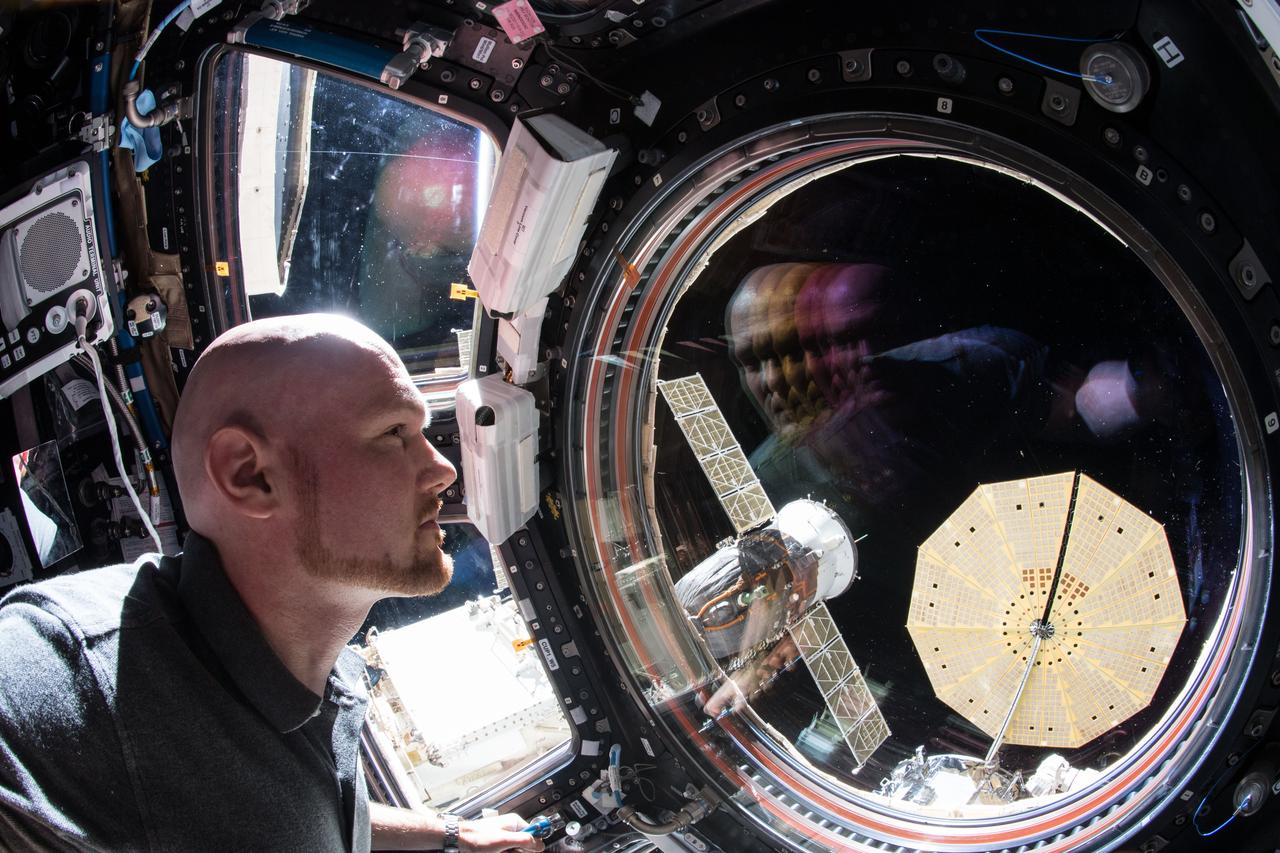iss057e105887 (Nov. 22, 2018) --- Expedition 57 Commander Alexander Gerst of ESA (European Space Agency) peers out the International Space Station's "window to the world," the seven-windowed cupola. Just outside the cupola are two spacecraft including the Soyuz MS-09 crew craft and Northrop Grumman's Cygnus cargo craft with one of its cymbal-shaped UltraFlex solar arrays featuring prominently in the frame.
