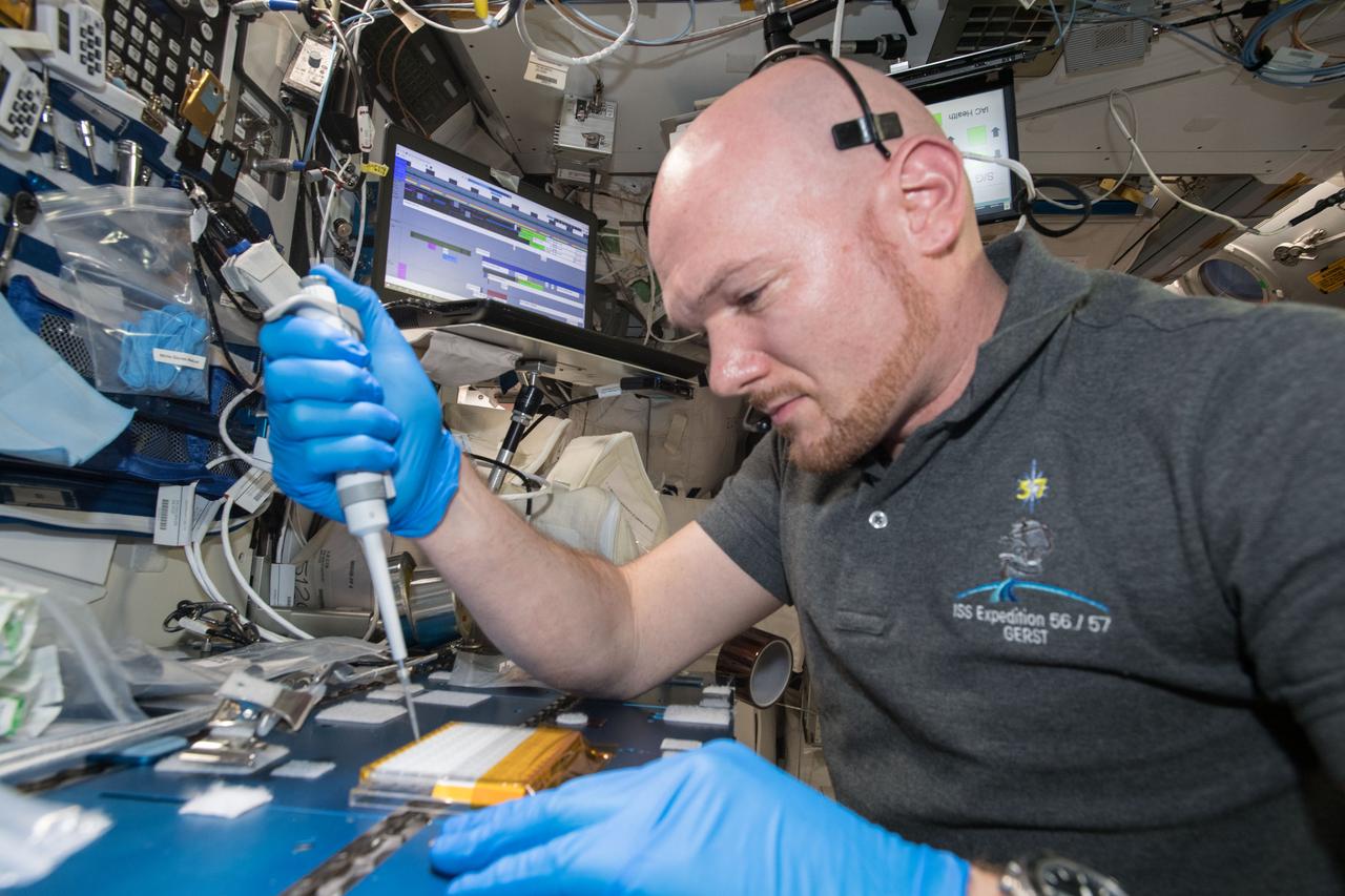iss057e106232 (Nov. 26, 2018) --- Commander Alexander Gerst uses a uses a pipette to transfer a protein solution into the Protein Crystal Growth Card for an experiment observing protein crystals associated with Parkinson’s disease to potentially improve treatments on Earth.