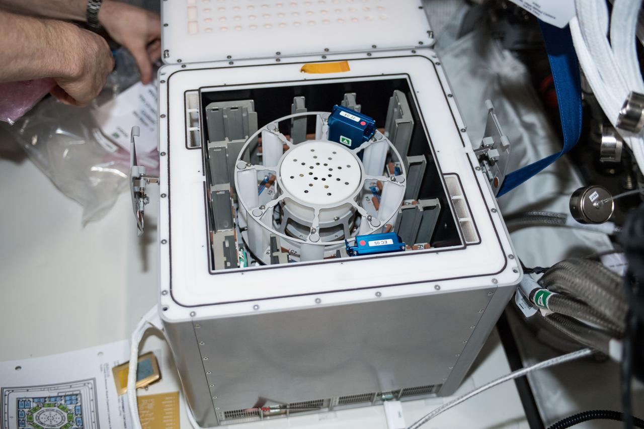 iss057e114874 (12/9/2018) --- A view of the Kubik incubator containing the experiment canisters for the Molecular Muscle investigation. The Molecular Muscle investigation examines the molecular causes of muscle abnormalities during spaceflight in order to establish effective countermeasures. Using the validated model organism C. elegans, combined with flight-validated methodologies, this experiment targets the molecular alterations that are most consistently correlated with muscular and metabolic abnormalities across species in spaceflight (i.e. insulin- and attachment-mediated signaling). The success of the interventions in recovering muscle health is assessed by successfully preventing the gene and protein expression changes that are repeatedly observed in spaceflight.