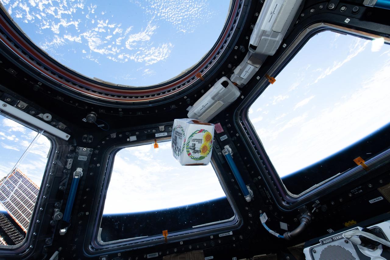 iss057e122164 ( 12/10/2018) --- A view of items from the NanoRacks-Lagrange investigation floating in front of the windows in the Cupola module aboard the International Space Station (ISS). NanoRacks-Lagrange seeks to increase interest in space. For this investigation, student photos and printed logos sheets are launched to the International Space Station (ISS) with a message card. Additionally, plant seeds are flown to the ISS. The students plant the seeds once they return to Earth and compare them to plants grown from regular seeds. Students are able to touch and feel close to space through this experiment.