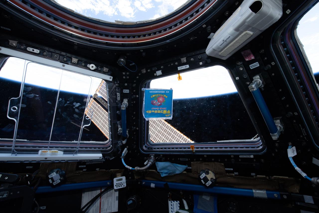 iss057e122169 912/10/2018) --- A view of items from the NanoRacks-Lagrange investigation floating in front of the  windows in the Cupola module aboard the International Space Station (ISS). NanoRacks-Lagrange seeks to increase interest in space. For this investigation, student photos and printed logos sheets are launched to the International Space Station (ISS) with a message card. Additionally, plant seeds are flown to the ISS. The students plant the seeds once they return to Earth and compare them to plants grown from regular seeds. Students are able to touch and feel close to space through this experiment.