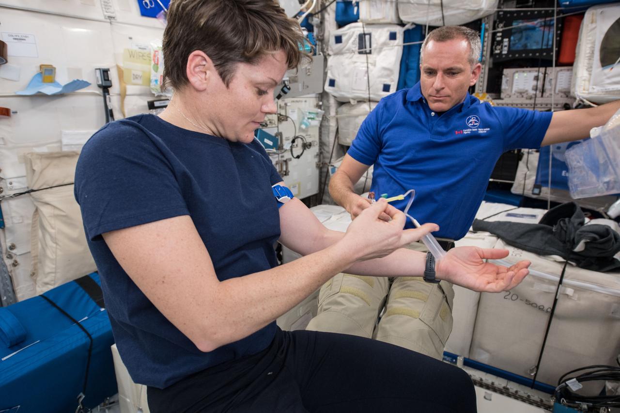 (12/8/2018) --- Flight Engineer (FE) Anne McClain prepares to draw her blood for the Marrow Study (Bone Marrow Adipose Reaction: Red Or White?). FE David Saint-Jacques assists. Photo was taken in the Columbus European Laboratory.