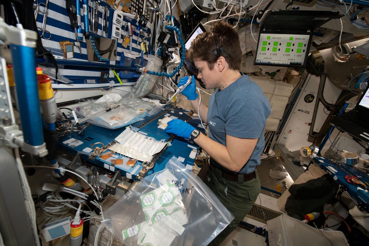 iss058e001880 (Jan. 2, 2019) --- NASA astronaut and Expedition 58 Flight Engineer Anne McClain works inside the Unity module conducting research operations for the Protein Crystal Experiment-16 that is exploring therapies for Parkinson's disease.