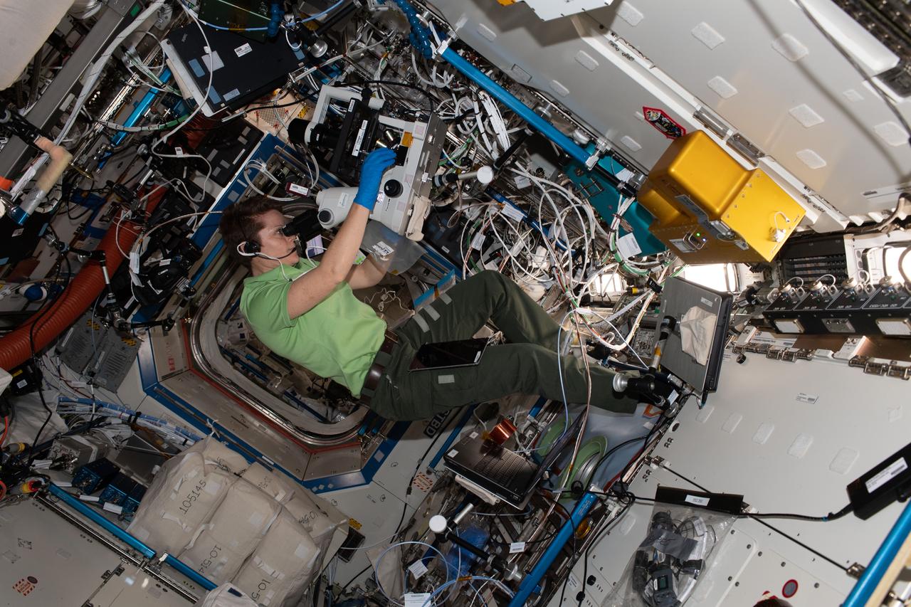 iss058e001945 (Jan. 3, 2019) --- Expedition 58 Flight Engineer and astronaut Anne McClain of NASA peers into a microscope and takes photographs for the Protein Crystal Growth-16 experiment that is exploring therapies for Parkinson's disease.