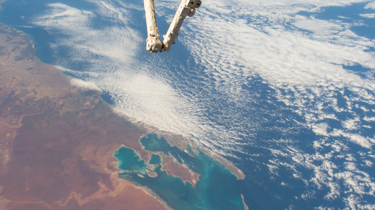 iss058e002638 (Jan. 14, 2019) --- Australia's Shark Bay, the Indian Ocean and the elbow of the Canadarm2 robotic arm are pictured as the International Space Station orbited nearly 256 miles above the state of Western Australia.