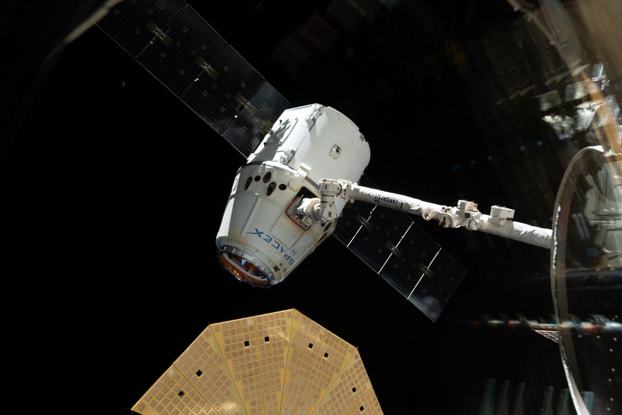 iss058e002666 (Jan. 13, 2019) --- The SpaceX Dragon cargo craft is pictured in the grips of the Canadarm2 robotic arm before its release and departure from the International Space Station. Featured prominently in the lower foreground is one of two cymbal-shaped UltraFlex solar arrays attached to the Northrop Grumman Cygnus resupply ship. The orbital complex was orbiting 254 miles above East Asia at the time this photograph was taken.