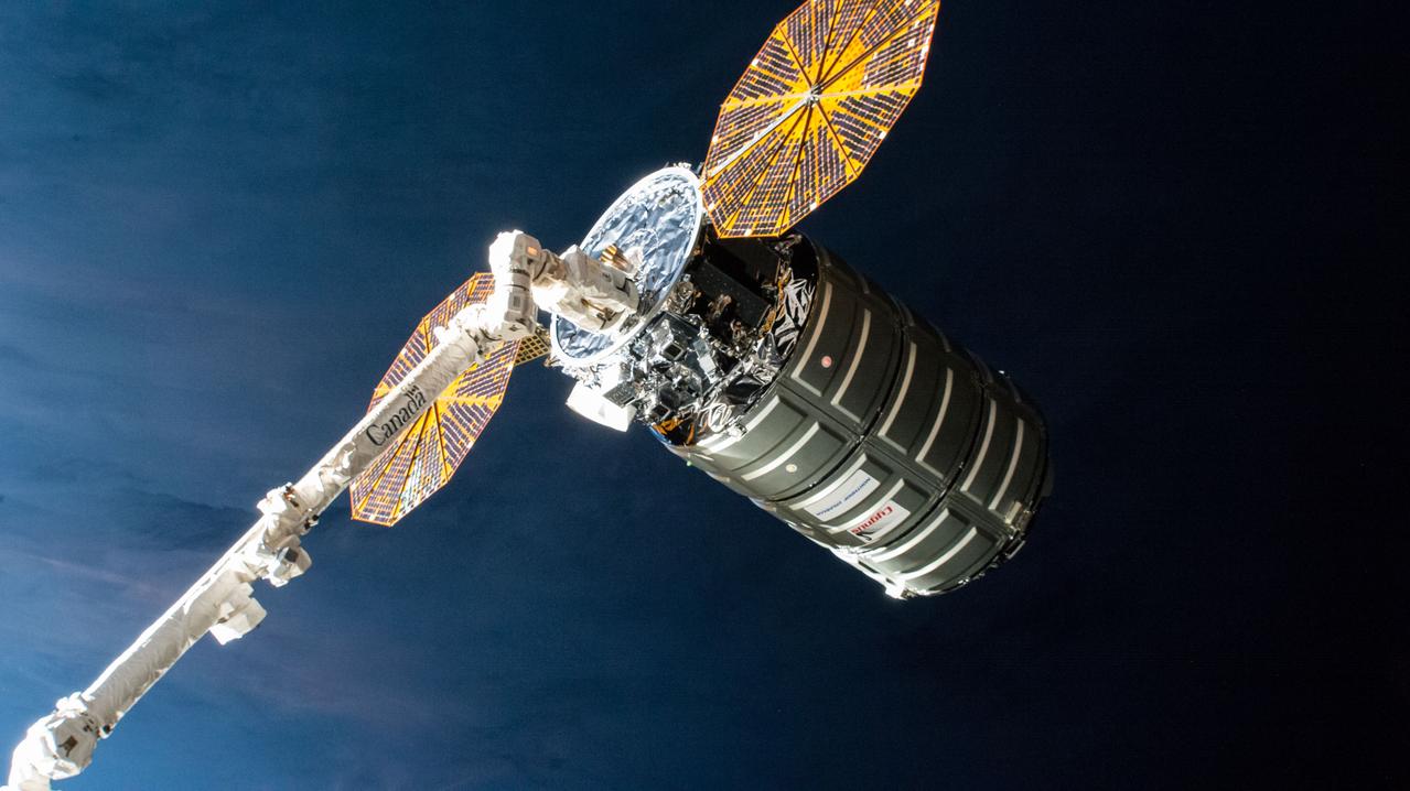 iss058e011396 (Feb. 8, 2019) --- The Cygnus cargo craft from Northrop Grumman is pictured firmly in the grips of the Canadarm2 robotic arm just before its release from the International Space Station.