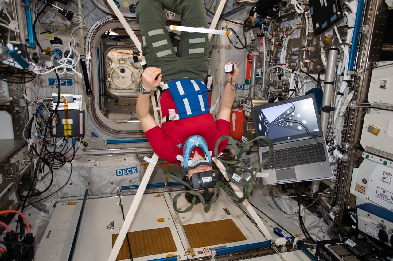 iss058e026479 (2/27/2019) --- NASA astronaut Anne McClain is shown in the Columbus module aboard the International Space Station (ISS) during the Vection experiment. The objective of The Effect of Long Duration Hypogravity on the Perception of Self-Motion (VECTION) study is to determine to what extent an astronaut's ability to visually interpret motion, orientation, and distance may be disrupted in a microgravity environment, and how it may adapt, and how it may be changed upon return to Earth. Multiple experimental time points inflight and upon return to Earth allows for the adaptation and recovery process to be investigated.