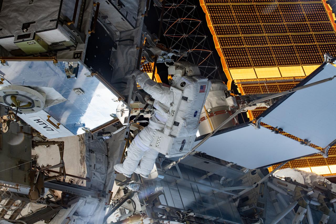 iss059e005281 (March 29, 2019) --- Spacewalker and NASA astronaut Christina Koch retrieves hardware from a pallet delivered on the Japan Aerospace Exploration Agency's (JAXA) HTV-7 (H-II Transfer Vehicle-7) to continue upgrading the International Space Station's power storage capacity. She and fellow spacewalker Nick Hague (out of frame) worked outside in the vacuum of space for six hours and 45 minutes to continue swapping batteries and install adapter plates on the station's Port-4 truss structure.