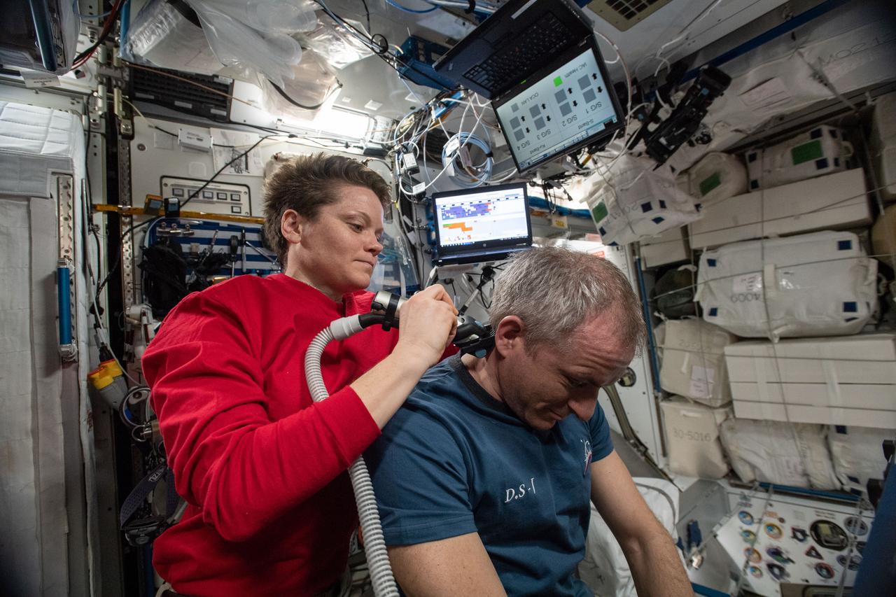 iss059e013084 (April 4, 2019) --- The orbital lab becomes a high-flying hair salon as NASA astronaut Anne McClain trims the hair of David Saint-Jacques of the Canadian Space Agency aboard the International Space Station.