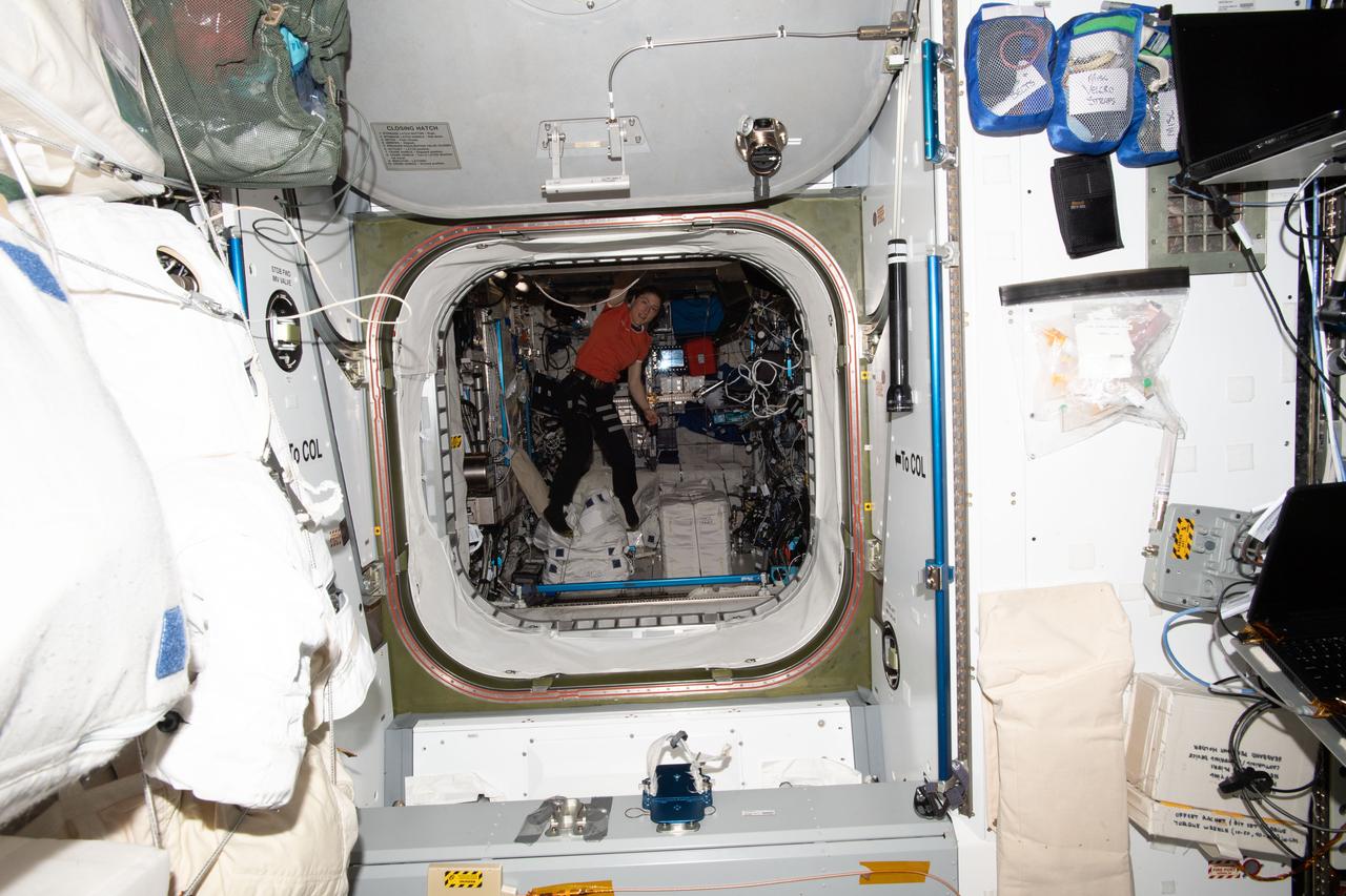 iss059e018827 (April 10, 2019) --- NASA astronaut and Expedition 59 Flight Engineer Christina Koch works inside the Columbus laboratory module from ESA (European Space Agency).