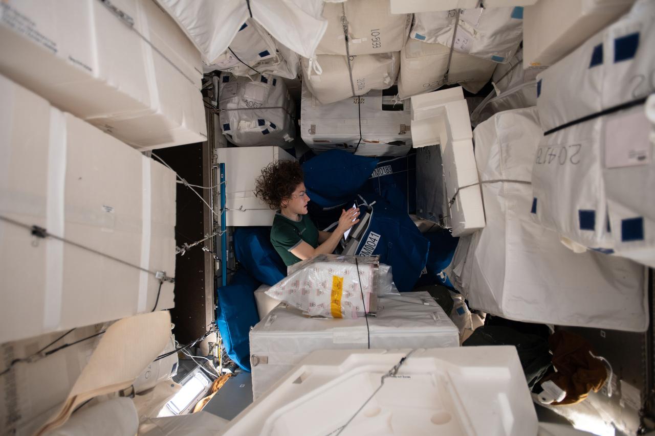 iss059e025106 (April 18, 2019) --- NASA astronaut Christina Koch relocates and organizes International Space Station hardware inside the Leonardo Permanent Multipurpose Module (PMM) from ESA (European Space Agency). The PMM is attached to the forward-facing facing portion of the Tranquility module. Directly opposite of the PMM on Tranquility is the Bigelow Expandable Activity Module (BEAM).