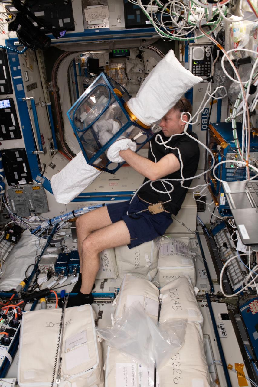 iss059e027387 (4/22/2019) --- NASA astronaut Nick Hague is photographed with the Rodent Research Facility during transfer of mice from the Cygnus spacecraft into the ( International Space Station ISS) Rodent Habitats. RR-12, Tetanus Antibody Response by B cells in Space (TARBIS), examines the effects of spaceflight on the function of antibody production and immune memory.
