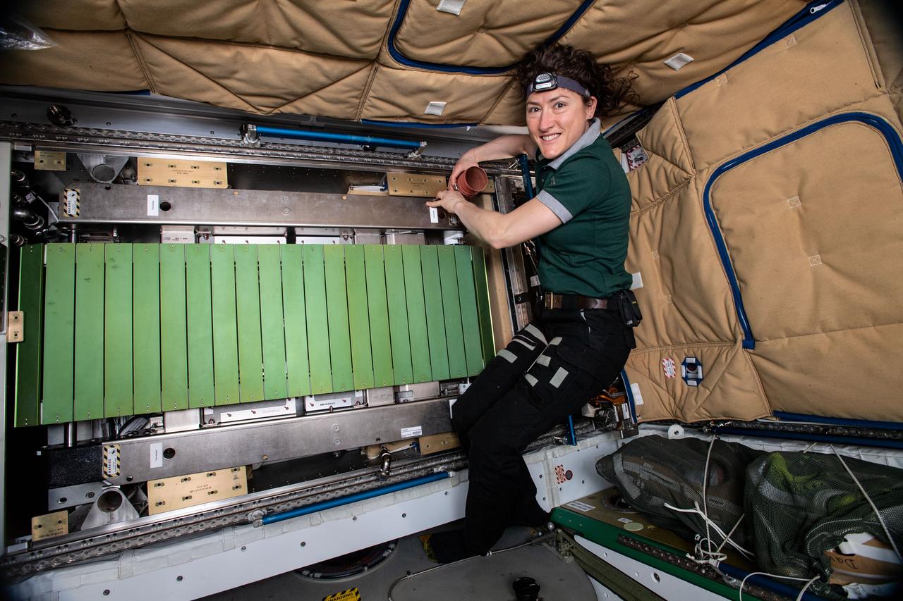 iss059e034662 (April 23, 2019) --- NASA astronaut Christina Koch works to remove and replace the treadmill, also known known as the Combined Operational Load Bearing External Resistance Treadmill, or COLBERT, inside the Tranquility module.