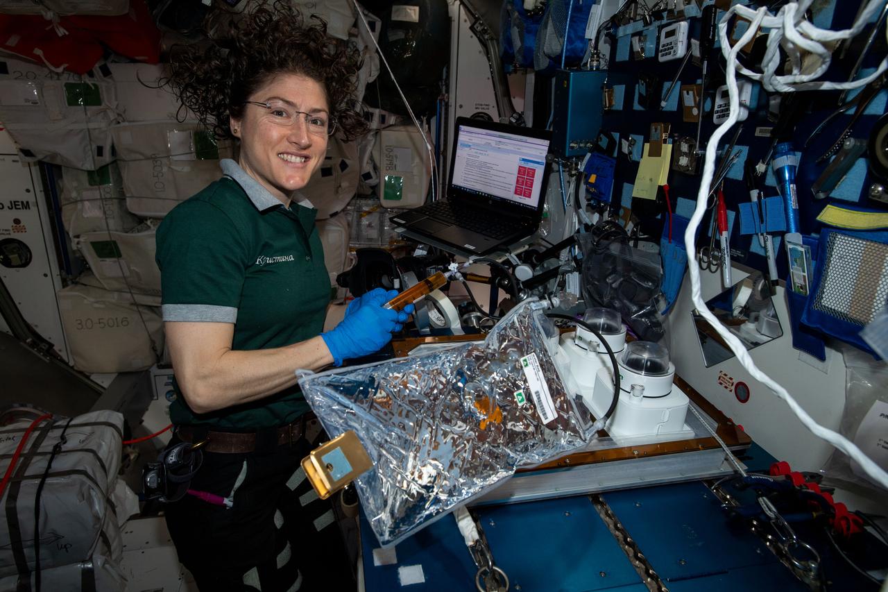 iss059e035465 (April 25, 2019) --- NASA astronaut Christina Koch works on space botany using the Veggie PONDS research gear to cultivate and harvest lettuce and mizuna greens for consumption on the International Space Station and analysis on Earth.