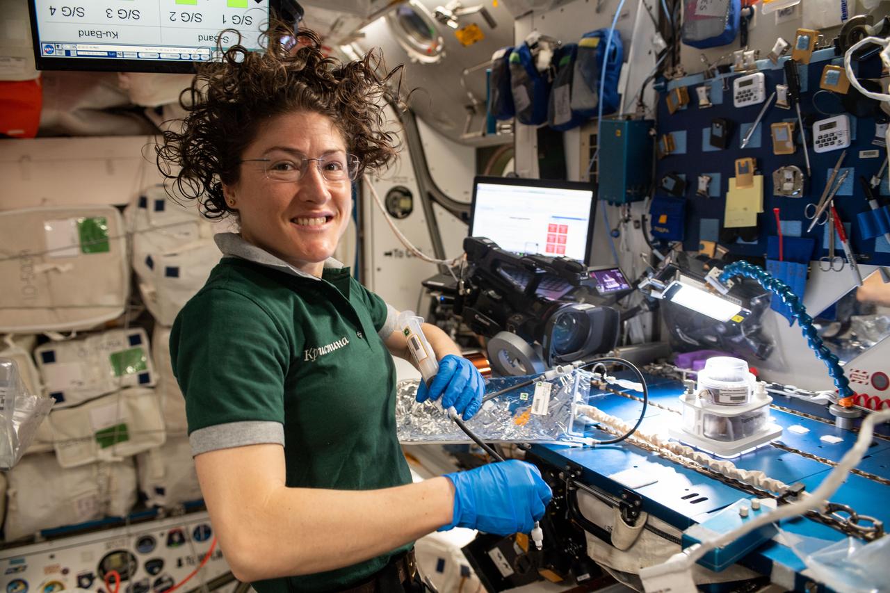 iss059e035668 (April 25, 2019) --- NASA astronaut Christina Koch works on space botany research using the Veggie PONDS gear to cultivate and harvest lettuce and mizuna greens for consumption on the International Space Station and analysis on Earth.