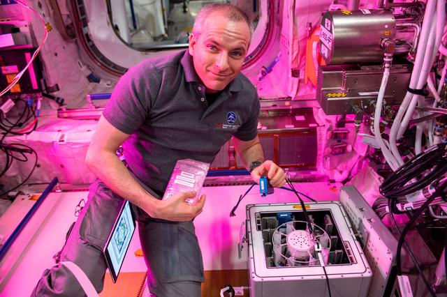 NASA image: Nano Antioxidants Experiment Containers in Kubik