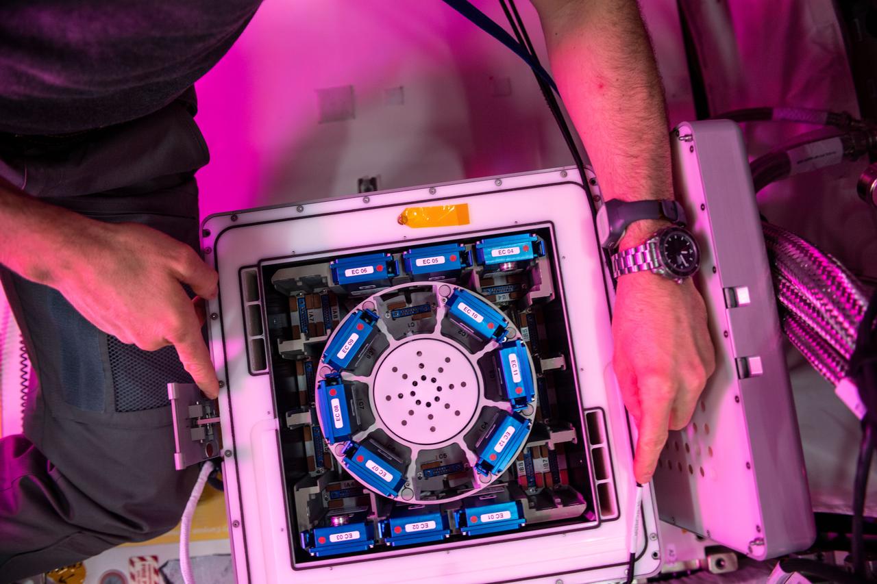 iss059e059071 (5/7/2019) --- Photo documentation of the 12 Nano Antioxidants Experiment Containers in Kubik 5 marking the start of the experiment run in the Columbus module aboard the International Space Station (ISS). The aim of the Nano Antioxidants investigation is to research innovative approaches for cellular stimulation to counteract the negative effects of long-term microgravity on the musculoskeletal system. There are numerous possible applications of this research project in other crucial social domains, such as healthcare of the elderly and of people with muscle atrophy disorders, through the implementation of new therapeutic strategies in the treatment of diseases involving oxidative stress as causing factor.