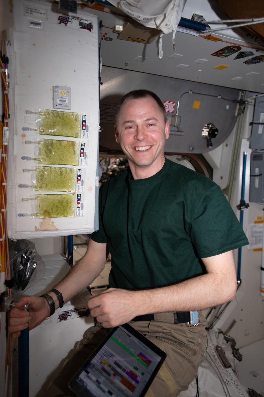 iss059e059230 (5/8/2019) --- NASA Astronaut Nick Hague with the MicroAlgae Culture Bags in Node 2 abord the International Space Station (ISS). Microalgae Biosynthesis in Microgravity (MicroAlgae) studies the effects of microgravity on Haematococcus pluvialis, an algae capable of producing a powerful antioxidant, astaxanthin. It could provide a readily available dietary supplement to promote astronaut health on long-duration space exploration missions.