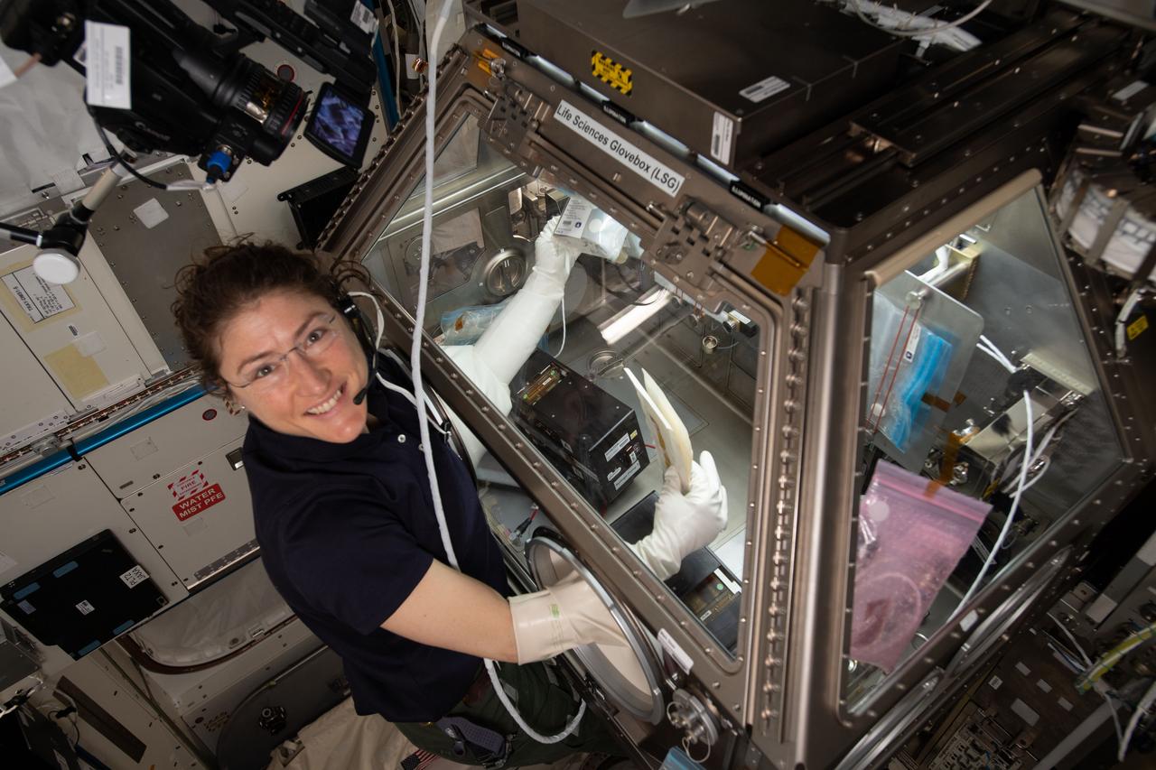 iss059e060936 (May 12, 2019) --- NASA astronaut Christina Koch works inside the Life Sciences Glovebox conducting research for the Kidney Cells investigation that is seeking innovative treatments for kidney stones, osteoporosis and toxic chemical exposures.