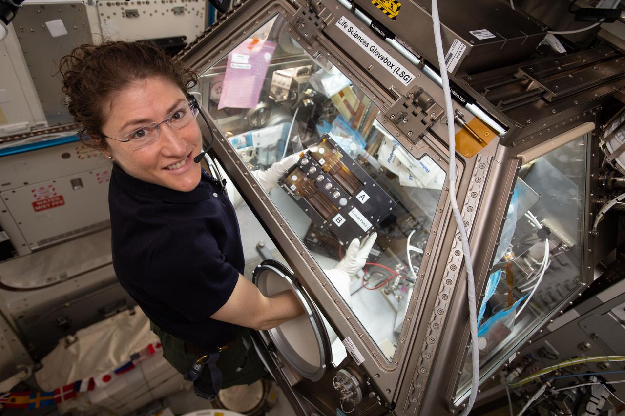 iss059e060944 (May 12, 2019) --- NASA astronaut Christina Koch works inside the Life Sciences Glovebox conducting research for the Kidney Cells investigation that is seeking innovative treatments for kidney stones, osteoporosis and toxic chemical exposures.