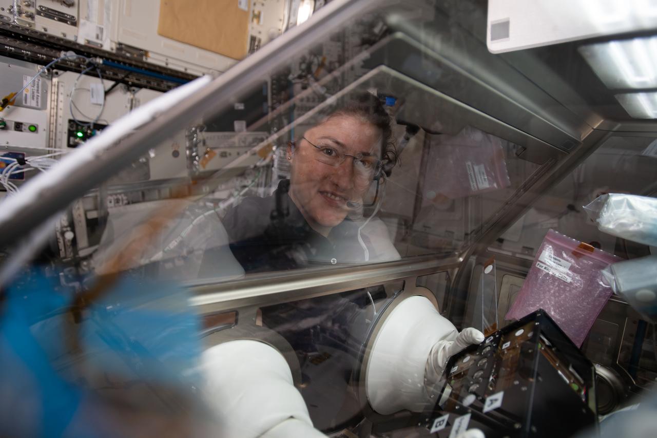 iss059e060950 (May 12, 2019) --- NASA astronaut Christina Koch works inside the Life Sciences Glovebox conducting research for the Kidney Cells investigation that is seeking innovative treatments for kidney stones, osteoporosis and toxic chemical exposures.